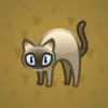 Scared Cat #14528