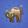 Scared Cat #14530