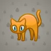Scared Cat #14551