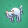 Scared Cat #14575