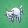 Scared Cat #14592