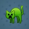 Scared Cat #14680