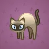 Scared Cat #1472