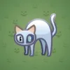Scared Cat #14751
