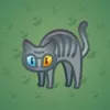Scared Cat #14765