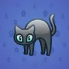 Scared Cat #14896