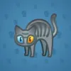 Scared Cat #14909