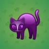 Scared Cat #1493