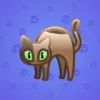 Scared Cat #14979