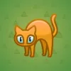Scared Cat #15192