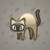 Scared Cat #15333