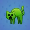 Scared Cat #15363