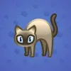 Scared Cat #15400