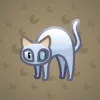 Scared Cat #15617