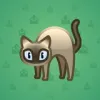 Scared Cat #15752