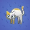 Scared Cat #15798