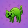 Scared Cat #15799