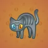 Scared Cat #15843