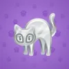 Scared Cat #15938