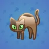 Scared Cat #15948
