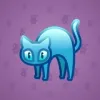 Scared Cat #15950