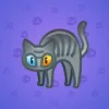 Scared Cat #15971