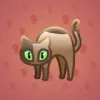 Scared Cat #16228
