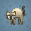 Scared Cat #16246