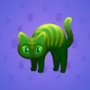 Scared Cat #16291