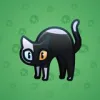 Scared Cat #16372