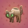 Scared Cat #16392