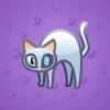 Scared Cat #16493