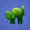 Scared Cat #16715