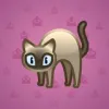 Scared Cat #16723