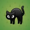 Scared Cat #16778