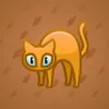 Scared Cat #16797