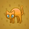 Scared Cat #16820