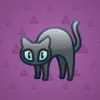 Scared Cat #16843