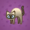 Scared Cat #16855