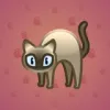 Scared Cat #16879