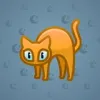 Scared Cat #17045
