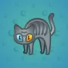 Scared Cat #17508