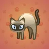 Scared Cat #17536