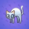 Scared Cat #17701