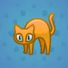 Scared Cat #17712