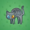 Scared Cat #17735