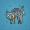 Scared Cat #17738