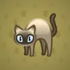 Scared Cat #17751