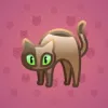 Scared Cat #17759