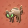 Scared Cat #17821